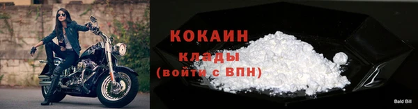 спиды Волосово