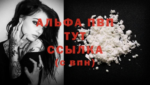 спиды Волосово