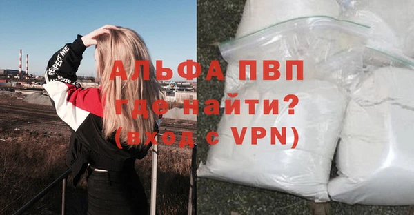спиды Волосово