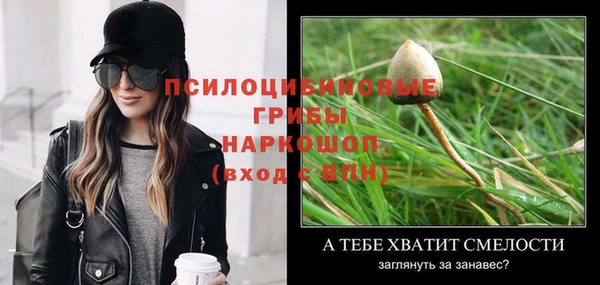 спиды Волосово