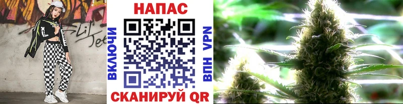 OMG как зайти  Благовещенск  Марихуана ГИДРОПОН  цена наркотик 